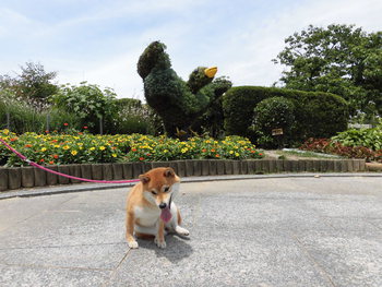遠州灘海浜公園へ