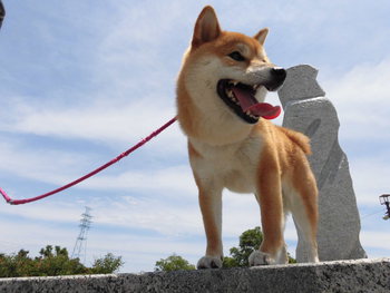 遠州灘海浜公園へ