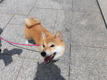 遠州灘海浜公園へ