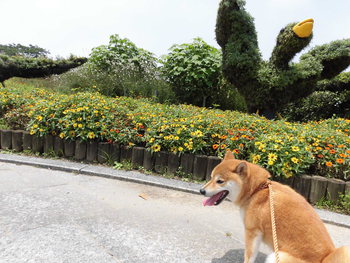 遠州灘海浜公園へ
