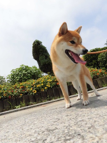 遠州灘海浜公園へ