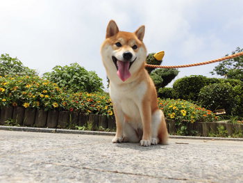 遠州灘海浜公園へ