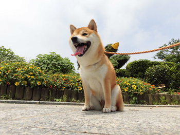 遠州灘海浜公園へ