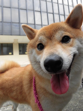 なかなかブログ更新出来ず・・。