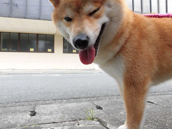 なかなかブログ更新出来ず・・。