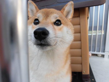 今日も元気～=＾-＾=