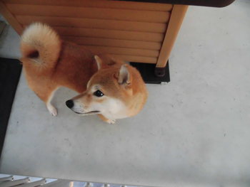 寒いですね