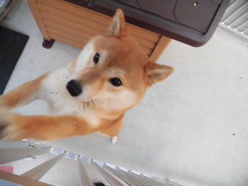 寒いですね