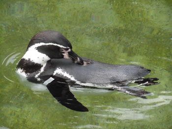 浜松市動物園　その1