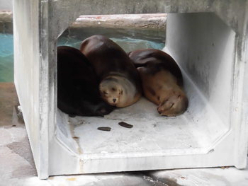 浜松市動物園　その1