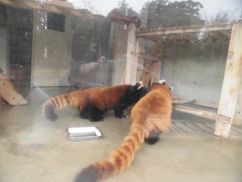 浜松市動物園　その2