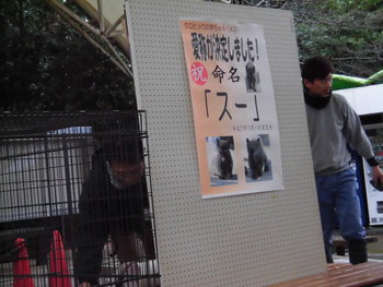 浜松市動物園クロヒョウの命名式　その1