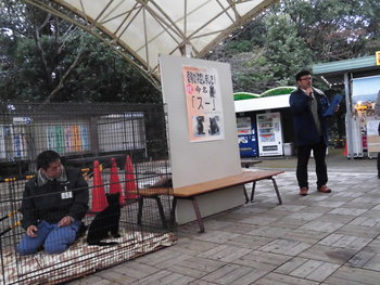 YouTube☆浜松市動物園クロヒョウの命名式　その2