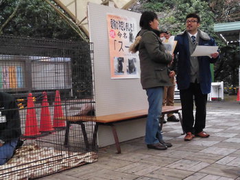 浜松市動物園クロヒョウの命名式　その1