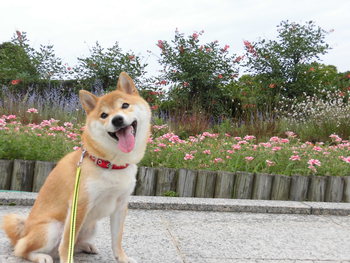 遠州灘海浜公園にて