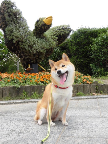 遠州灘海浜公園にて