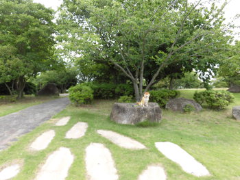 遠州灘海浜公園にて