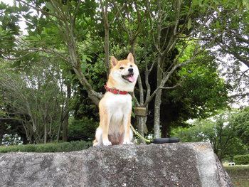遠州灘海浜公園にて