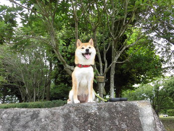 遠州灘海浜公園にて