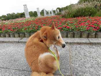 遠州灘海浜公園にて