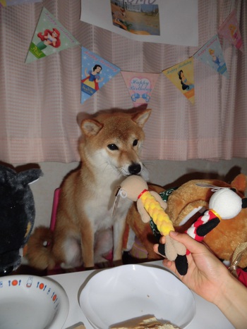 Happy Birthday☆可愛すぎる首かしげ☆