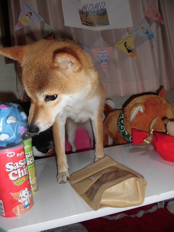Happy Birthday☆可愛すぎる首かしげ☆