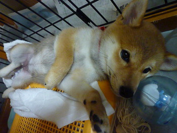 固まってます(*´･ｪ･`*)