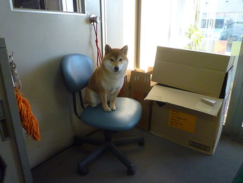 ちょっと遠くまでお散歩