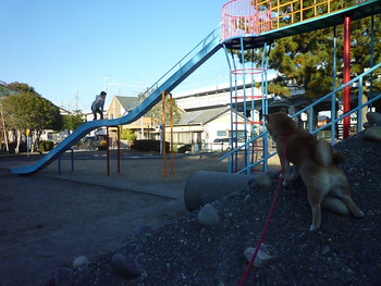 猿山に登って