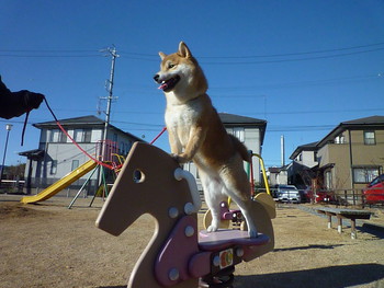 公園で遊ぶ♪