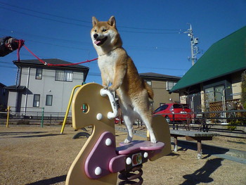 公園で遊ぶ♪