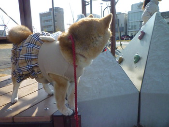 まばたき♪