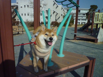 首をかしげて