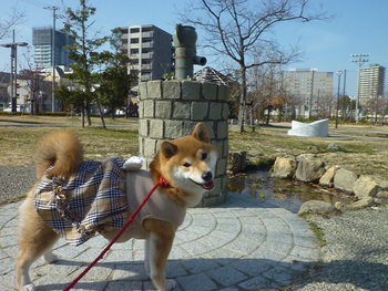 首をかしげて