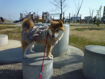 首をかしげて