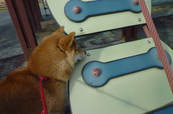 色々な遊び方