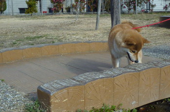 小さな橋