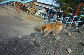 また猿山
