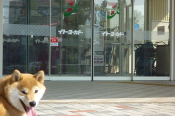 イトーヨーカドー