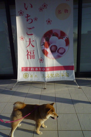 発見！