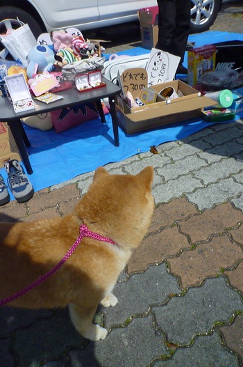 フリマへ行ってきました