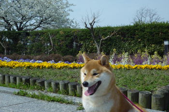 めちゃ笑