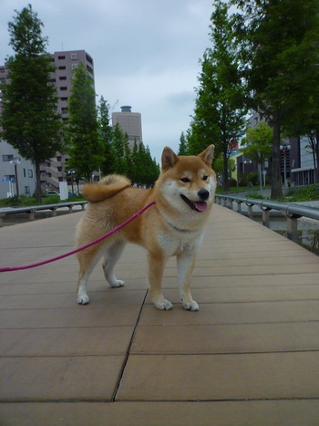 近くへ寄って撮ると