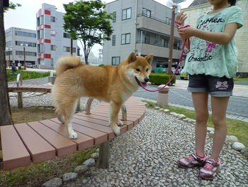 ベンチ