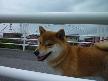 くぐれるかな？