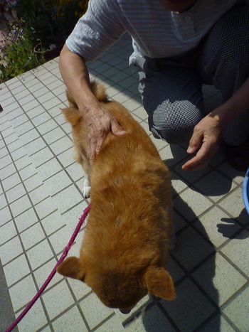 実家へ