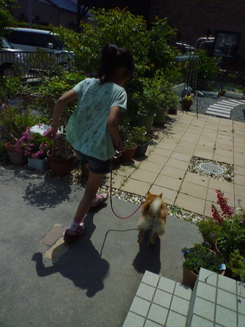 実家へ