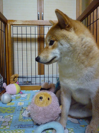 大好きな
