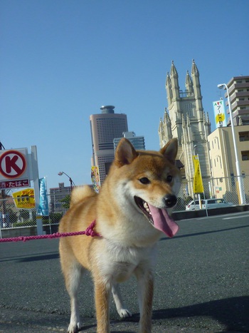 階段