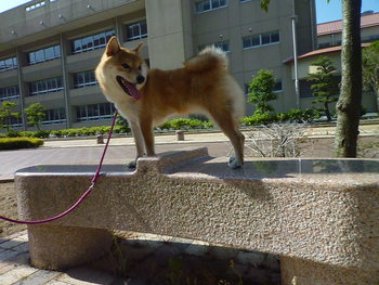 何してる？